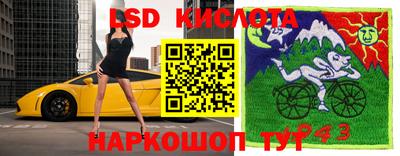 прущие крисы Гагарин