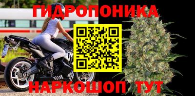 кокс Гатчина
