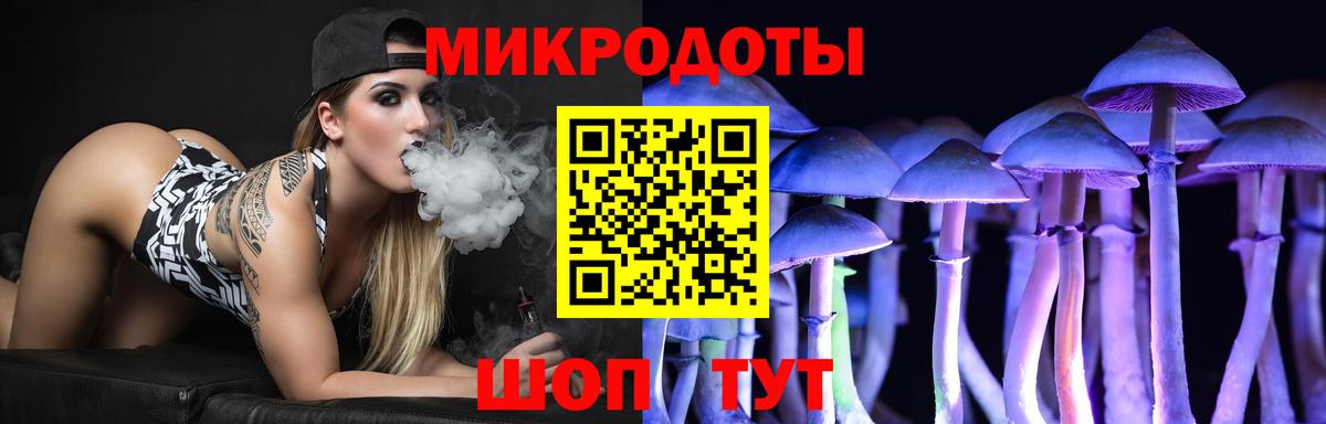 Псилоцибиновые грибы Psilocybine cubensis  Вход с VPN  где найти   Нальчик 